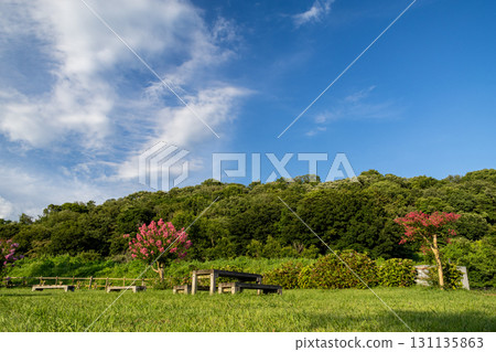 清新的藍天和清新的綠色 清新的藍天和清新的綠色 131135863