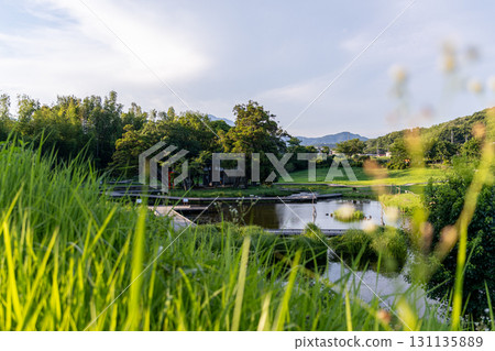 Itsukushima Wetlands Park: A shrine floating on a small island seen through the grass (Nakai Town, Kanagawa Prefecture) Itsukushima Wetlands Park: A shrine floating on a small island seen through the grass (Nakai Town, Kanagawa Prefecture) 131135889
