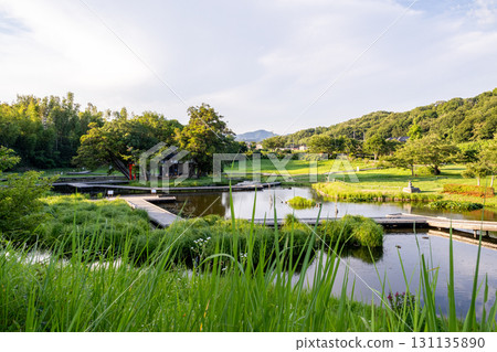嚴島濕地公園：黃昏時分漂浮在小島上的神社（神奈川縣中井町） 131135890