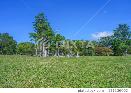藍天白雲下的大台原山夏季風景 藍天白雲下的大台原山夏季風景 131136002