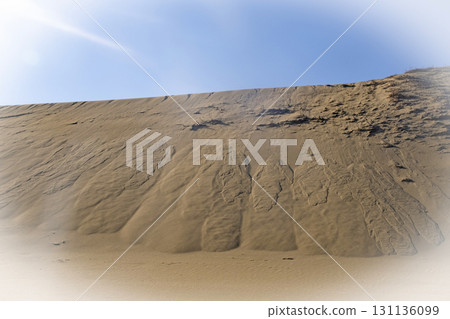 沙塵暴風紋（鳥取沙丘） 131136099