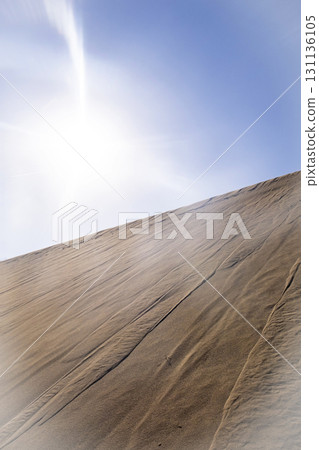沙塵暴風紋(鳥取沙丘) 沙塵暴風紋(鳥取沙丘) 131136105