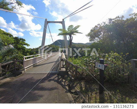 石垣島，私人住宅，八重山，沖繩，賽格威，版納公園 131136273