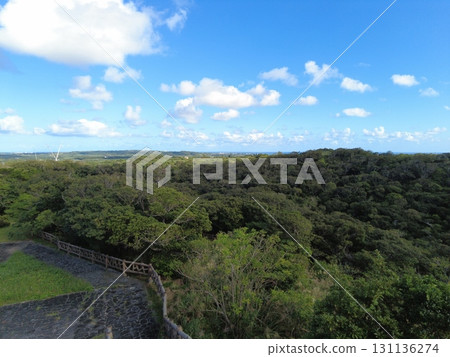 石垣島,私人住宅,八重山,沖繩,賽格威,版納公園 石垣島,私人住宅,八重山,沖繩,賽格威,版納公園 131136274