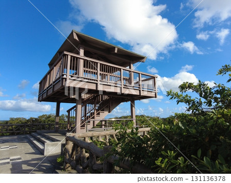 石垣島，私人住宅，八重山，沖繩，賽格威，版納公園 131136378