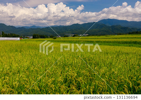 Beautiful rural scenery in Kitakata city under a refreshing summer sky Beautiful rural scenery in Kitakata city under a refreshing summer sky 131136694