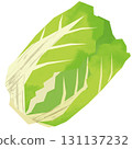 Paper-cut style Chinese cabbage 131137232