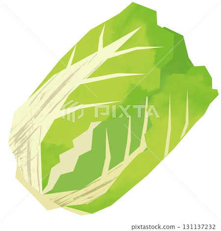 Paper-cut style Chinese cabbage Paper-cut style Chinese cabbage 131137232
