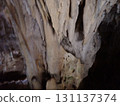 石垣洞，洞穴，鐘乳石，石垣島，八重山，沖繩 131137374