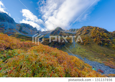 【紅葉】雲霧繚繞的唐澤冰斗美景，紅葉達到頂峰【長野縣】 131137856