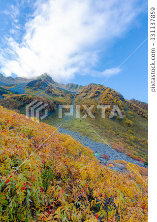 【紅葉】雲霧繚繞的唐澤冰斗美景，紅葉達到頂峰【長野縣】 131137859