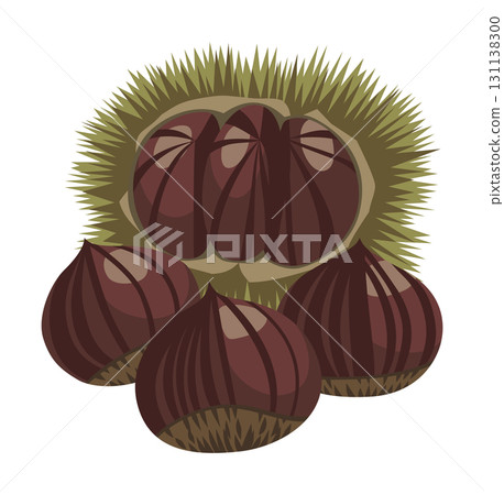 Illustration of chestnuts (shelled chestnuts) / Autumn flavors (no main lines) 131138300