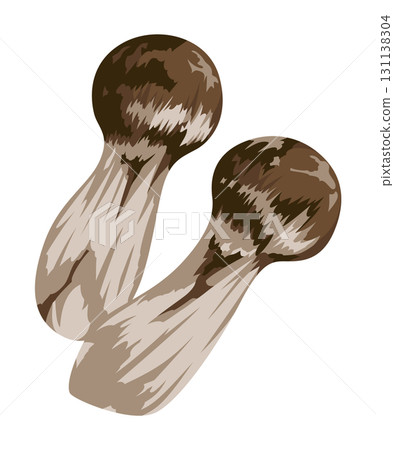松茸插圖/秋香菇（無主線） 131138304