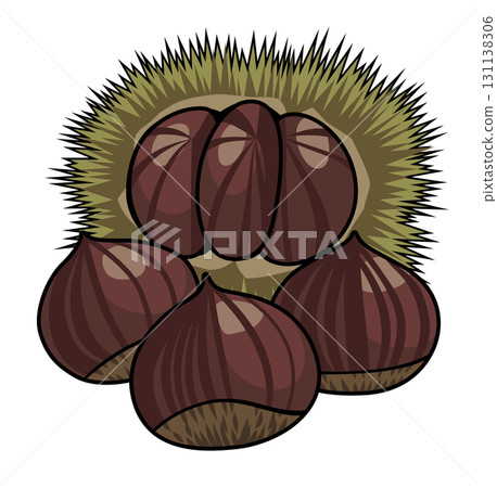 栗子(帶殼栗子)的插圖/秋天的味道(帶主線) 栗子(帶殼栗子)的插圖/秋天的味道(帶主線) 131138306