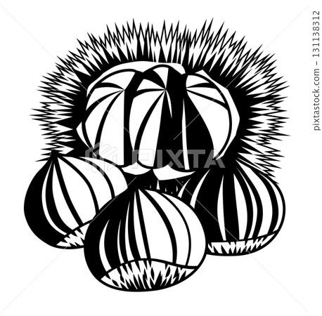 Illustration of chestnuts (burred chestnuts and peeled chestnuts) / Autumn flavors (monochrome, line drawing) Illustration of chestnuts (burred chestnuts and peeled chestnuts) / Autumn flavors (monochrome, line drawing) 131138312