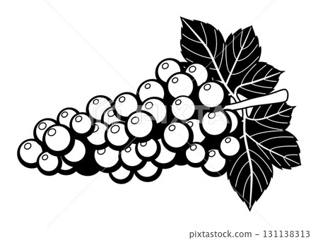 Grape (Grape) Illustration / Autumn Fruit (Monochrome, Line Drawing) Grape (Grape) Illustration / Autumn Fruit (Monochrome, Line Drawing) 131138313
