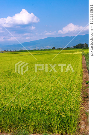 夏日清爽天空下的會津鄉村 夏日清爽天空下的會津鄉村 131138651