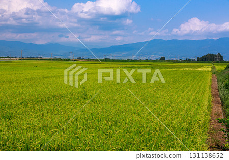 夏日清爽天空下的會津鄉村 131138652