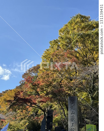 秋天的高尾山,被紅葉包圍 秋天的高尾山,被紅葉包圍 131139431