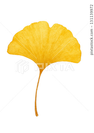 Ginkgo leaf illustration PNG cutout Autumn season material 131139972