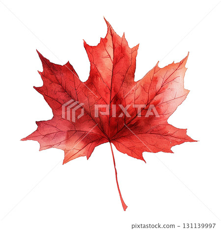 紅色秋葉楓葉插畫PNG摳圖秋季素材 131139997