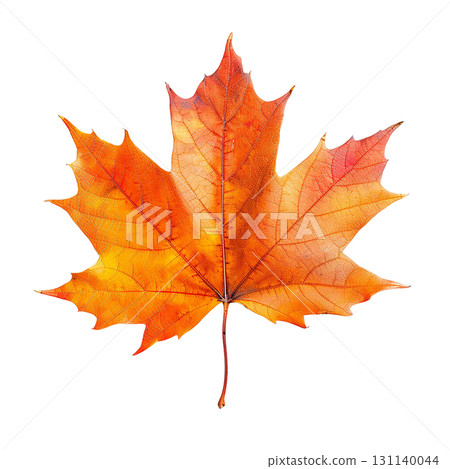 秋葉，楓葉，黃色，橙色，紅色，漸變，PNG剪輯，秋季素材 131140044