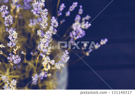 Delicate lavender blooms with a dark background create a soothing visual experience. Close-up shot of lavender flowers with purple blooms against a dark background, creating a soft, artistic look. Delicate lavender blooms with a dark background create a soothing visual experience. Close-up shot of lavender flowers with purple blooms against a dark background, creating a soft, artistic look. 131140317