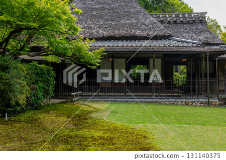 Isuien Garden in May - The Garden Beauty of the Ancient Capital of Nara Isuien Garden in May - The Garden Beauty of the Ancient Capital of Nara 131140375