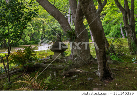 五月的依水園－古都奈良的庭園之美 131140389