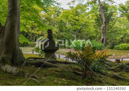 Isuien Garden in May - The Garden Beauty of the Ancient Capital of Nara 131140392