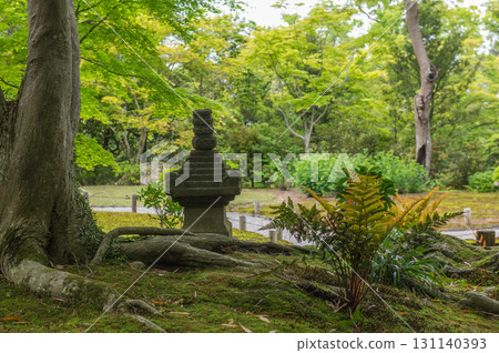 Isuien Garden in May - The Garden Beauty of the Ancient Capital of Nara Isuien Garden in May - The Garden Beauty of the Ancient Capital of Nara 131140393