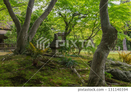 Isuien Garden in May - The Garden Beauty of the Ancient Capital of Nara Isuien Garden in May - The Garden Beauty of the Ancient Capital of Nara 131140394