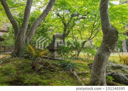 五月的依水園-古都奈良的庭園之美 五月的依水園-古都奈良的庭園之美 131140395
