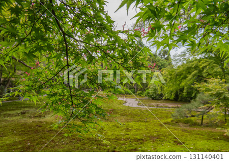 五月的依水園－古都奈良的庭園之美 131140401