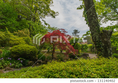 五月的依水園－古都奈良的庭園之美 131140402