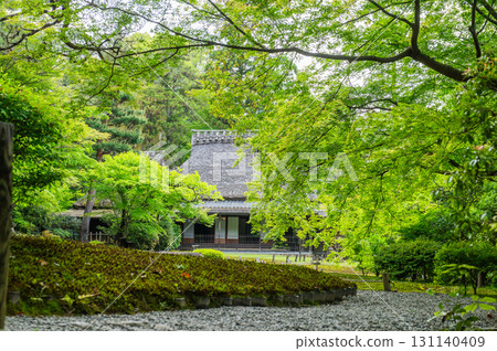 Isuien Garden in May - The Garden Beauty of the Ancient Capital of Nara 131140409