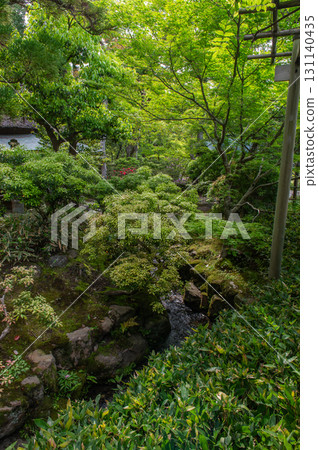 五月的依水園-古都奈良的庭園之美 五月的依水園-古都奈良的庭園之美 131140435