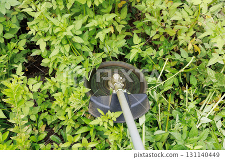 Mowing brush cutter 131140449