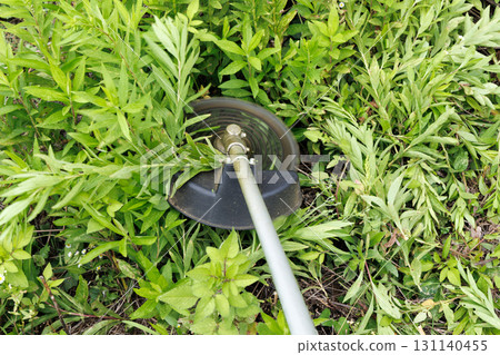 Mowing brush cutter 131140455