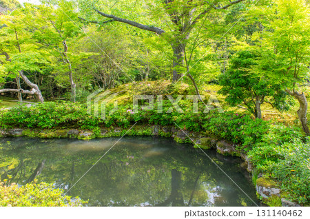 五月的依水園－古都奈良的庭園之美 131140462