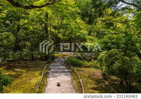 Isuien Garden in May - The Garden Beauty of the Ancient Capital of Nara Isuien Garden in May - The Garden Beauty of the Ancient Capital of Nara 131140465