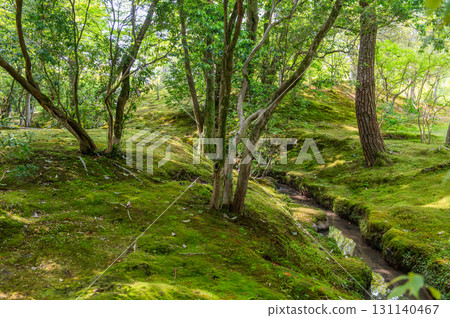 Isuien Garden in May - The Garden Beauty of the Ancient Capital of Nara 131140467