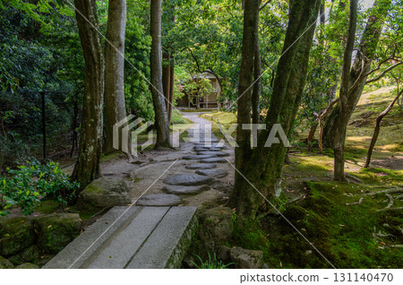 Isuien Garden in May - The Garden Beauty of the Ancient Capital of Nara 131140470
