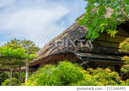 Isuien Garden in May - The Garden Beauty of the Ancient Capital of Nara 131140491