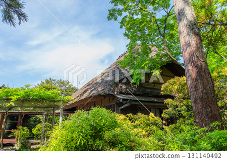 Isuien Garden in May - The Garden Beauty of the Ancient Capital of Nara 131140492