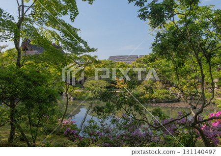五月的依水園-古都奈良的庭園之美 五月的依水園-古都奈良的庭園之美 131140497