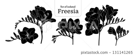 Freesia branches set, isolated on transparent background, Flower illustration in black silhouette, hand-drawn style. 131141265