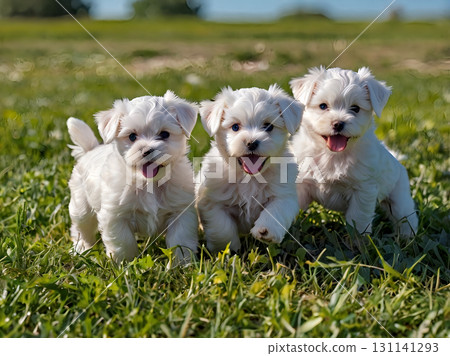 我們走吧！ 131141293