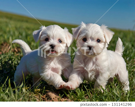 空閒時間 131141296