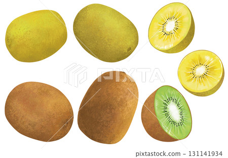 手繪獼猴桃插圖 131141934